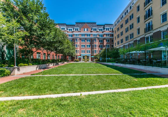 Courtyard planted with grass